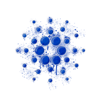 Cardano icon